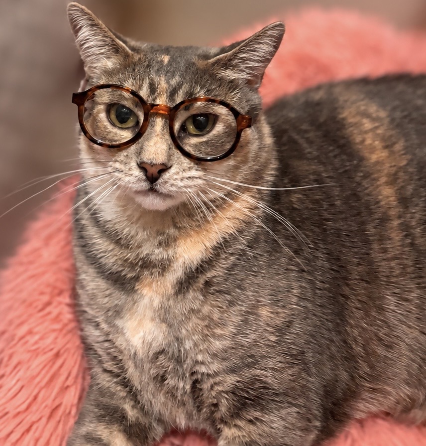 Rosie wearing glasses